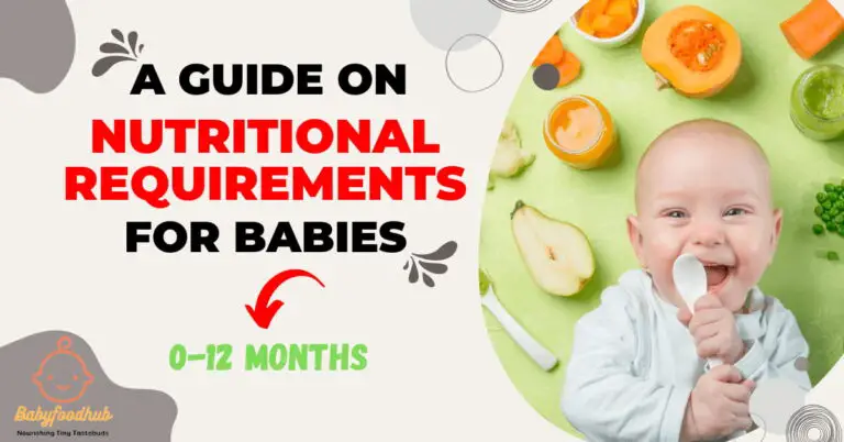 Nutritional Requirements for Babies 0-12 Months