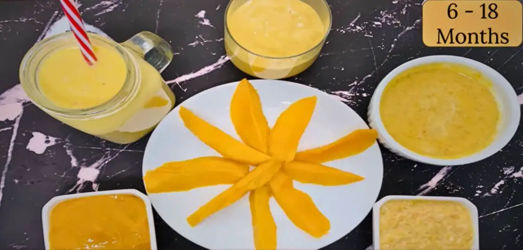 Advanced Mango Baby Food Recipes