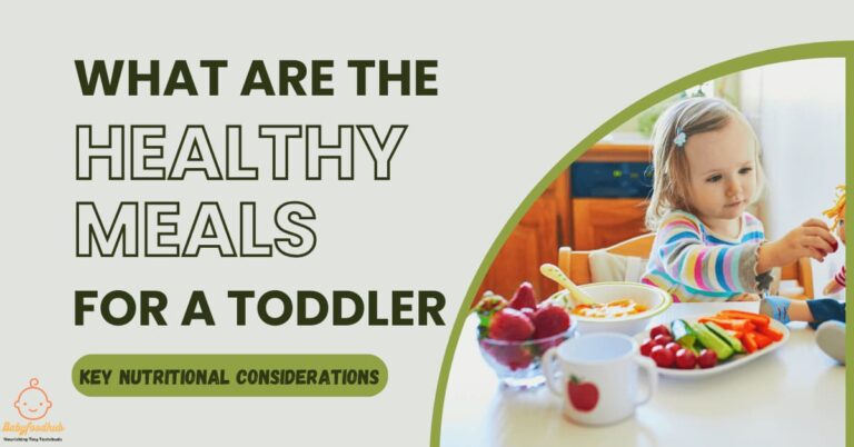 What is a Healthy Toddler Meal?