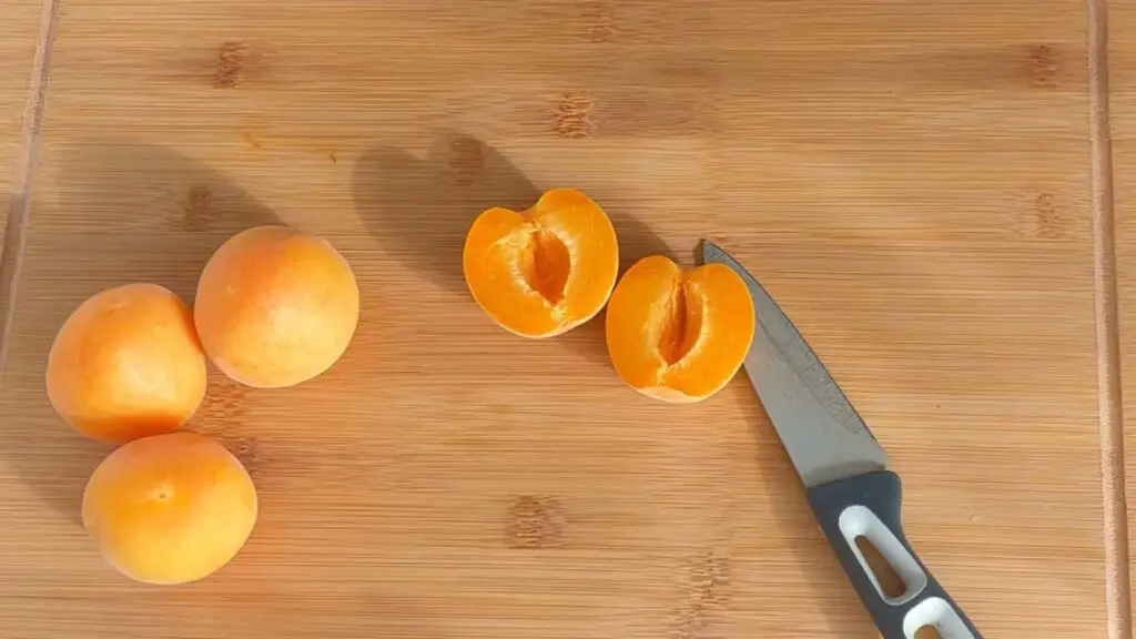 Choosing The Right Apricots And Oats For Puree Preparation
