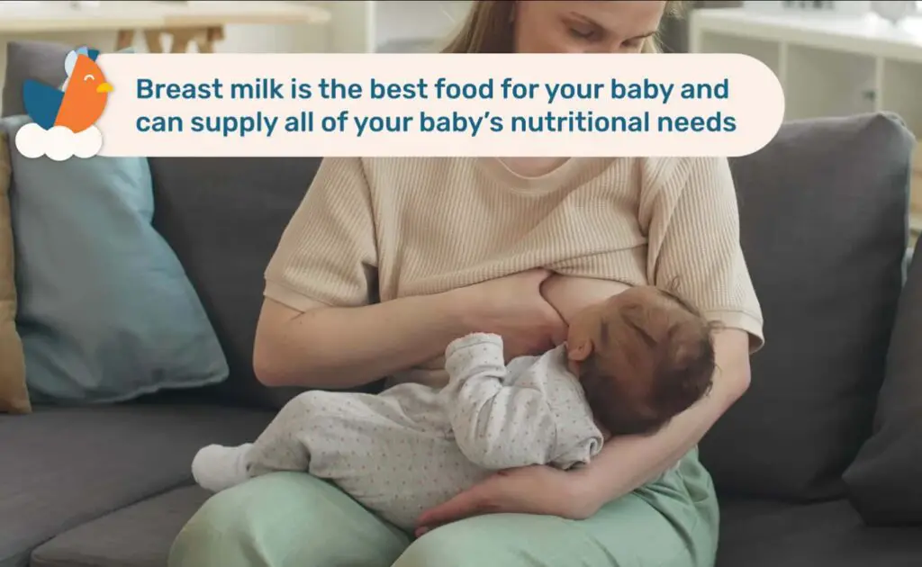 What Should a Baby Eat at 0 to 6 Months