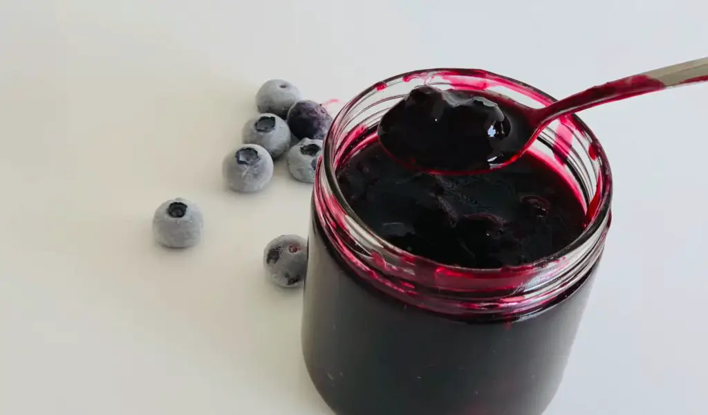 How to Store the Blueberry Puree