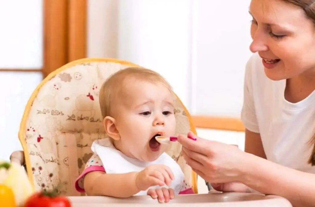 Tips For Feeding Stage 3 Baby Food